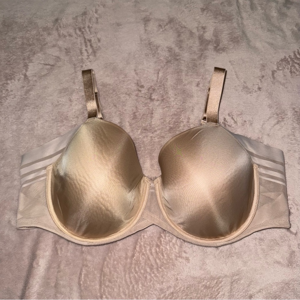 Paramour bra size 42D